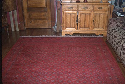 the rug